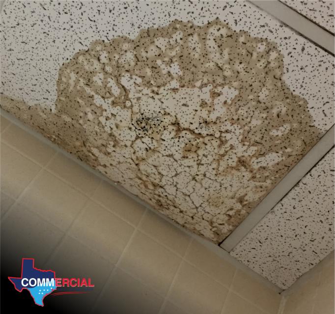 austin storm damage restoration - Addressing Roof Leaks and Flooded Interiors
