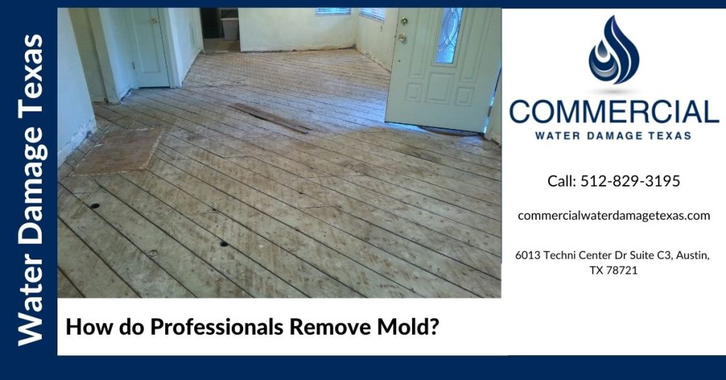 How do Professionals Remove Mold