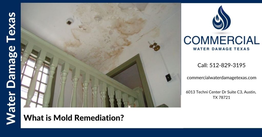 What is Mold Remediation